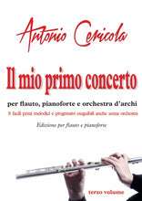 Load image into Gallery viewer, Il mio primo concerto - terzo volume