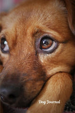 Load image into Gallery viewer, Dog Journal