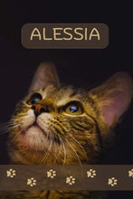 Load image into Gallery viewer, ALESSIA
