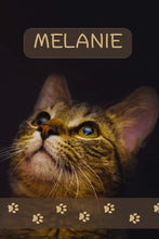 Load image into Gallery viewer, MELANIE