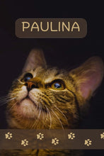 Load image into Gallery viewer, PAULINA