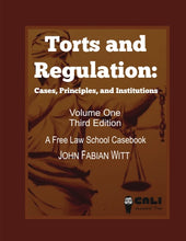 Load image into Gallery viewer, Torts and Regulation: Cases, Principles, and Institutions