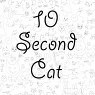10 Second Cat