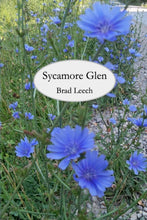 Load image into Gallery viewer, Sycamore Glen
