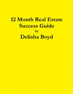 12 Month Real Estate Success Guide