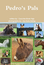 Load image into Gallery viewer, Pedro's Pals
