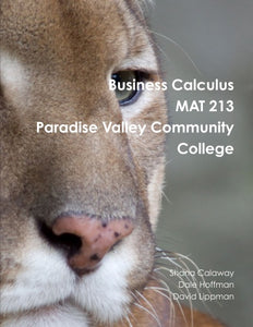 Business Calculus