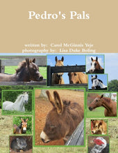 Load image into Gallery viewer, Pedro's Pals
