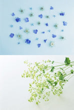Load image into Gallery viewer, ENG Life o'graphy of "SAKE BOMB"
