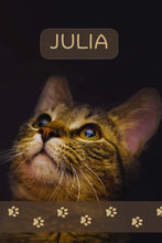 Load image into Gallery viewer, JENNA
