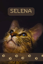 Load image into Gallery viewer, SELENA
