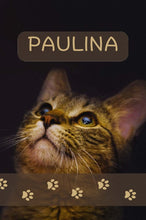 Load image into Gallery viewer, PAULINA
