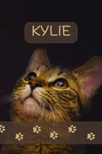 Load image into Gallery viewer, KYLIE
