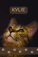 Load image into Gallery viewer, KYLIE
