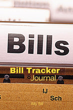 Load image into Gallery viewer, Bill Tracker Journal

