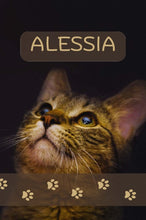 Load image into Gallery viewer, ALESSIA
