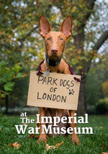 Load image into Gallery viewer, Park Dogs of London
